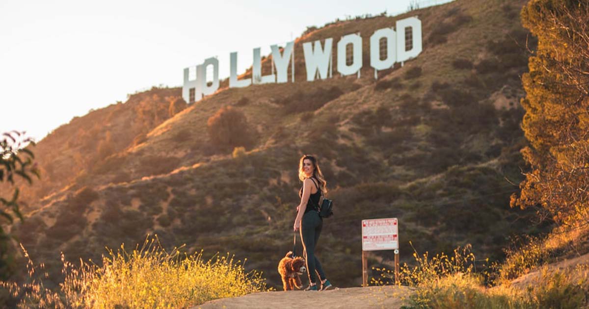hollywood