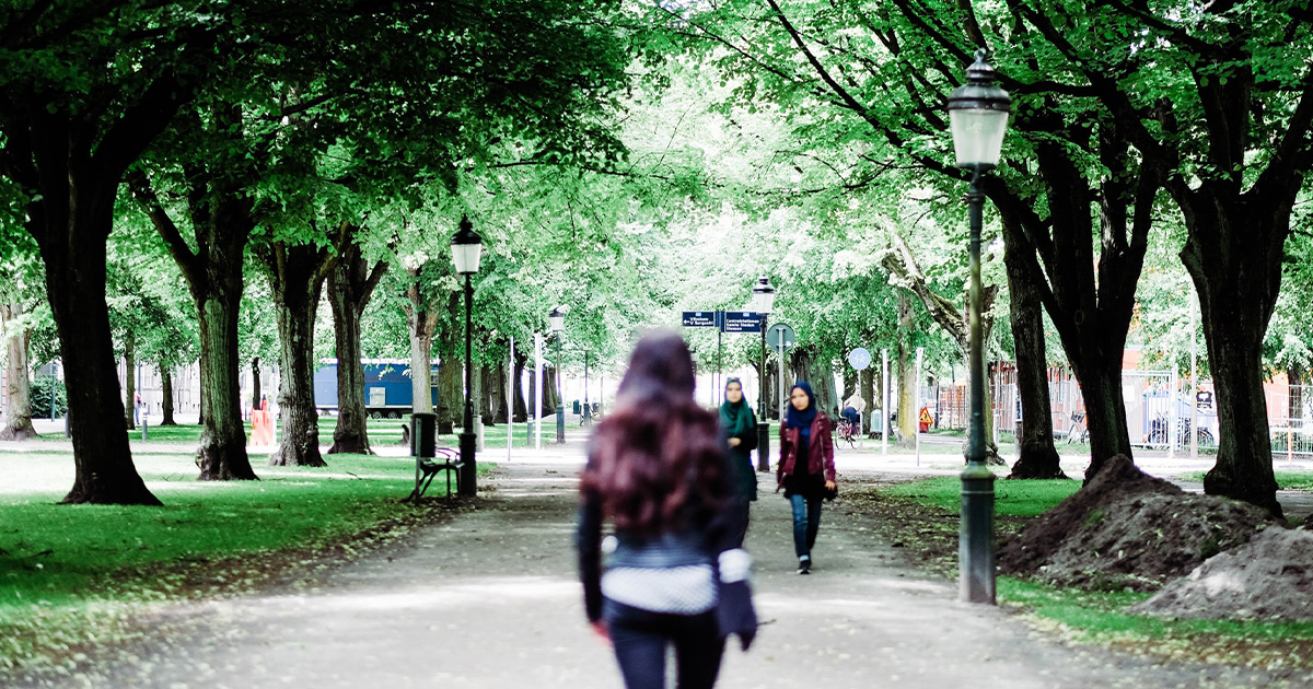 walkinthepark