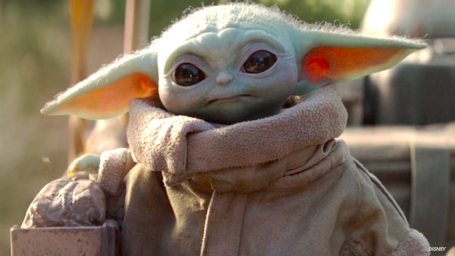 yodamarkFEATUREDIMAGE
