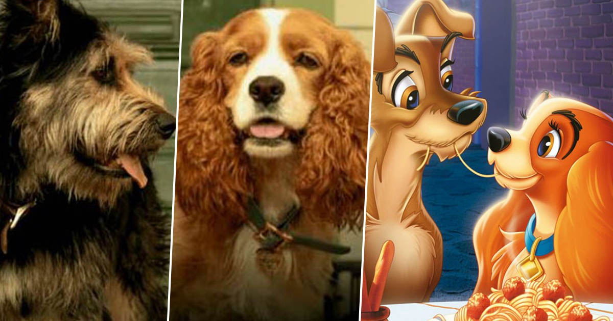 ladytramp1FacebookThumb