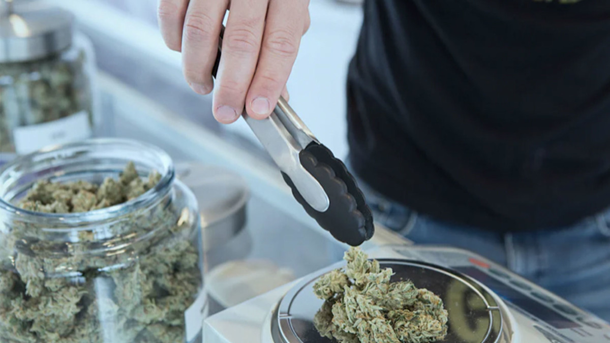 cannabis3FEATUREDIMAGE