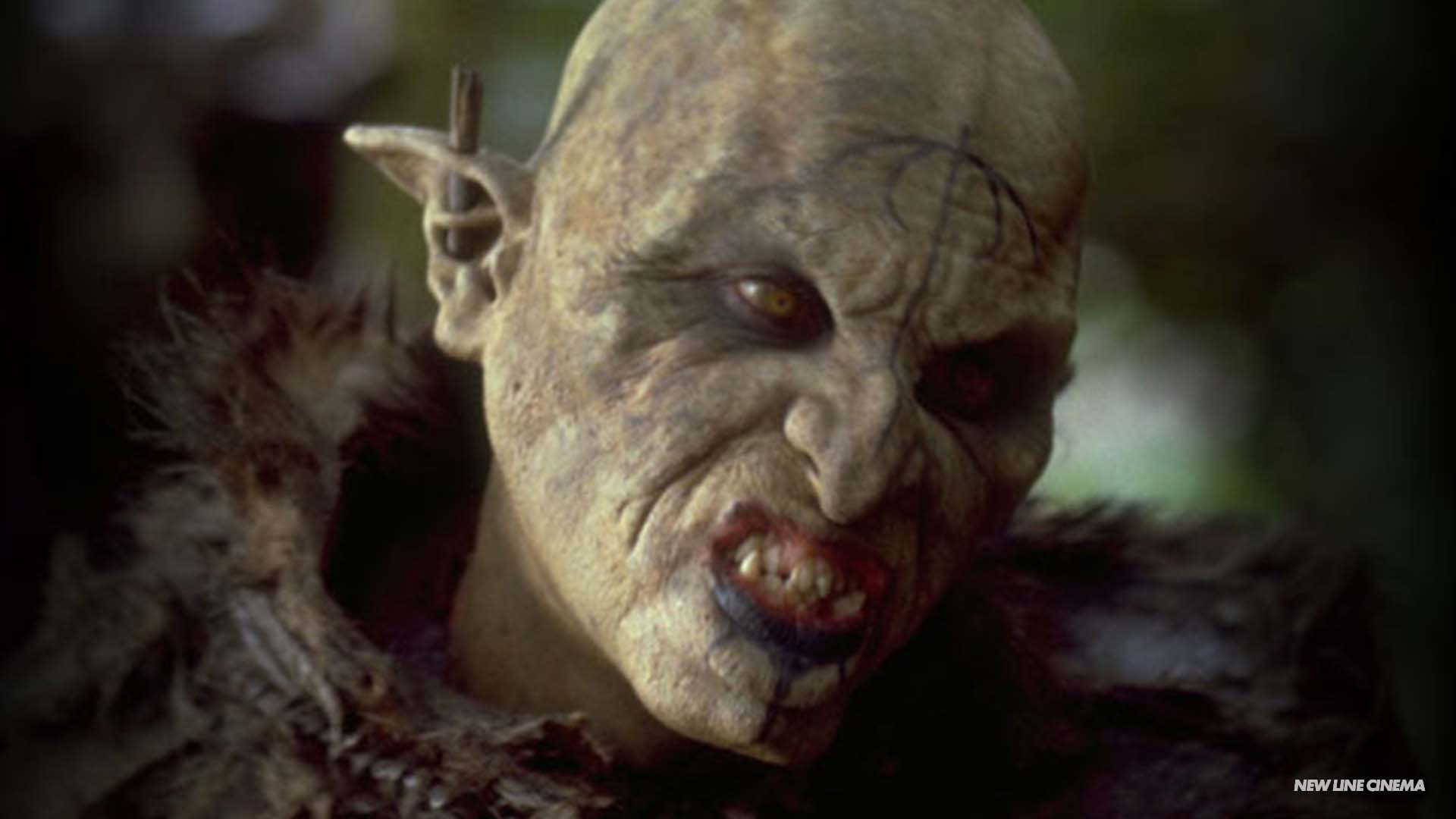 orc22FEATUREDIMAGE