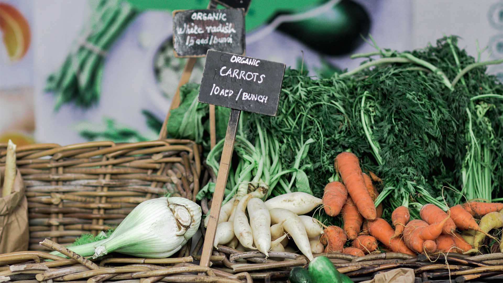 socialsupermarketFEATUREDIMAGE
