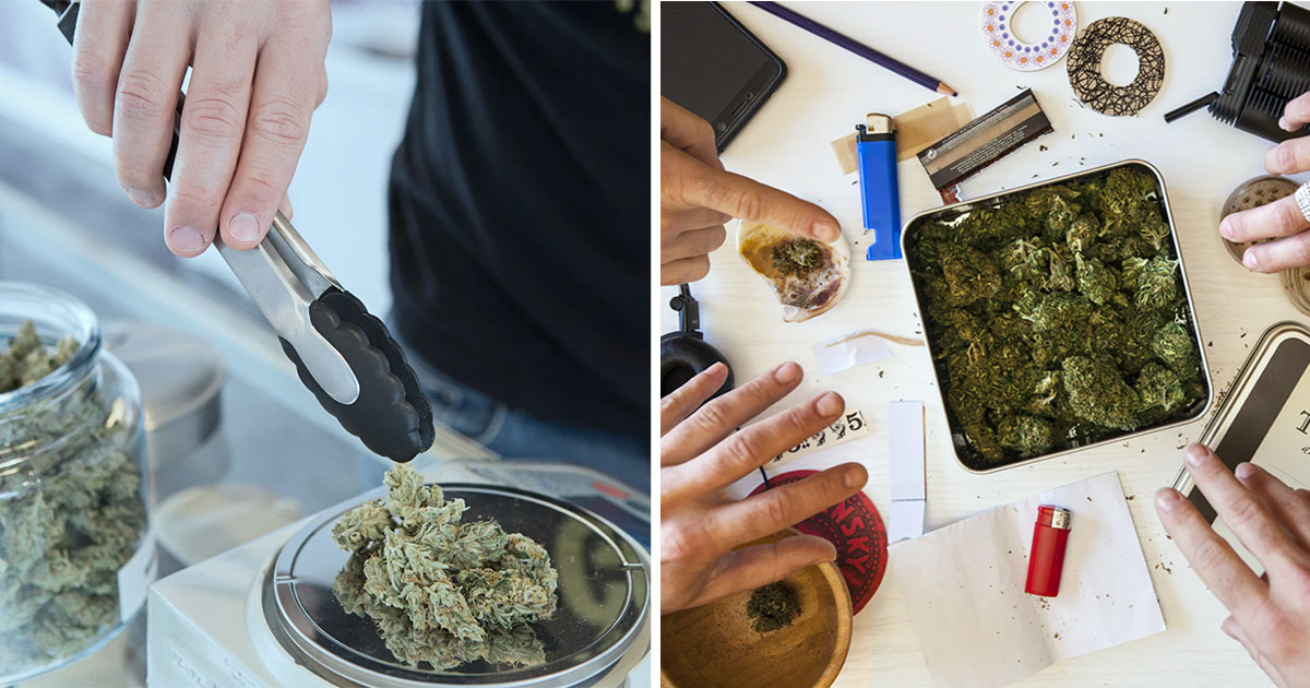 cannabis1FacebookThumb