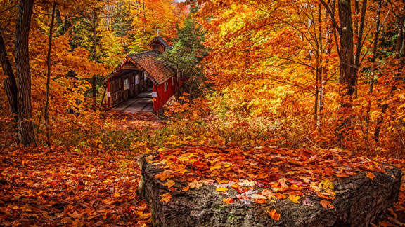 autumn1FEATUREDIMAGE