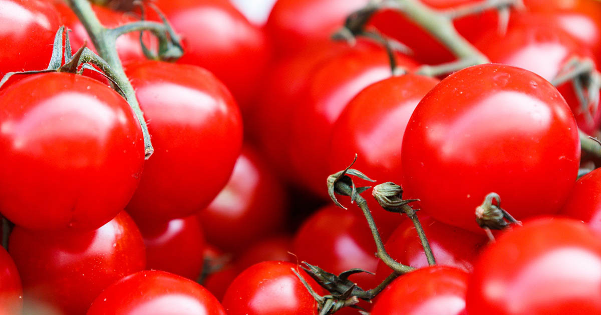 Tomatoes