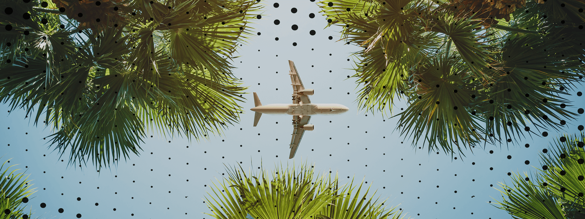 TOTUM-WEB-TRAVEL-2000X750