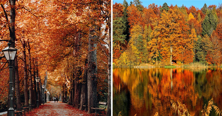 autumn1FacebookThumb