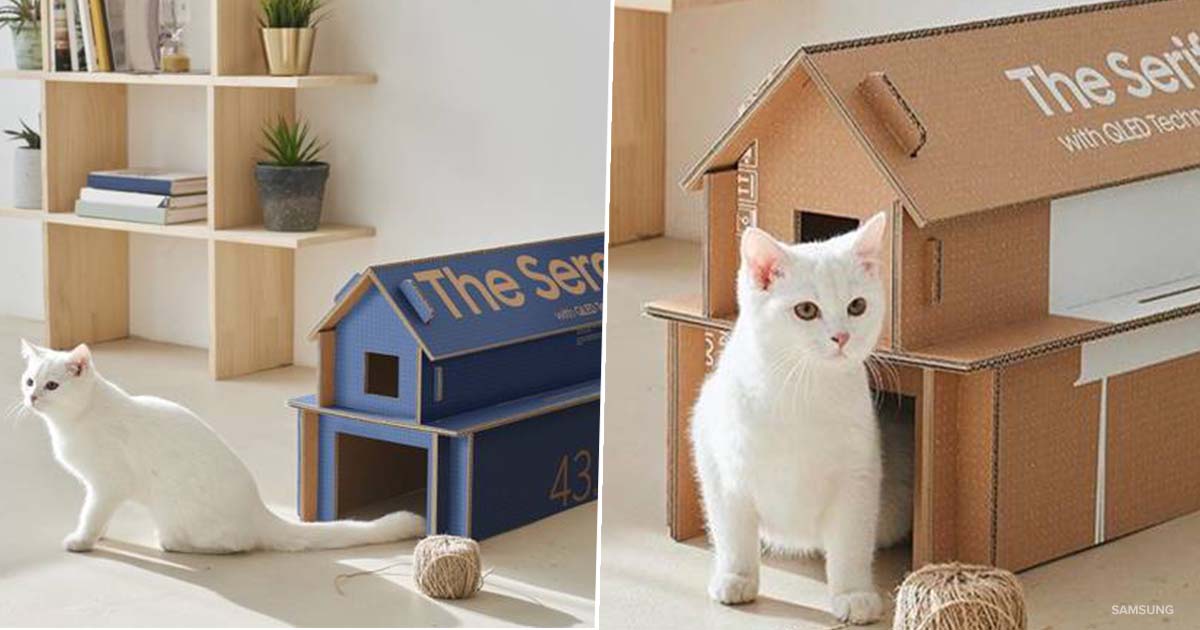 samsungcathouse2FacebookThumb