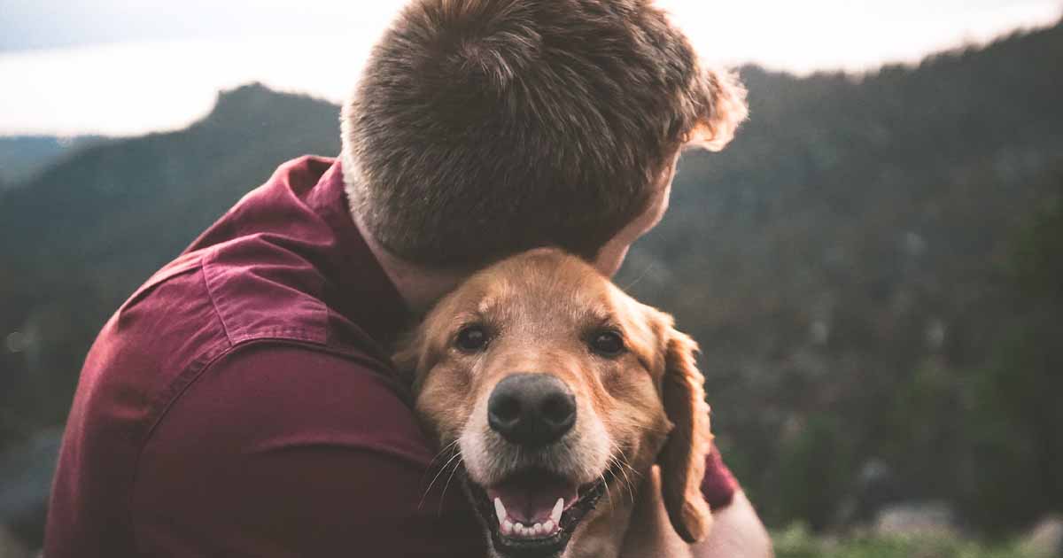 Dog1