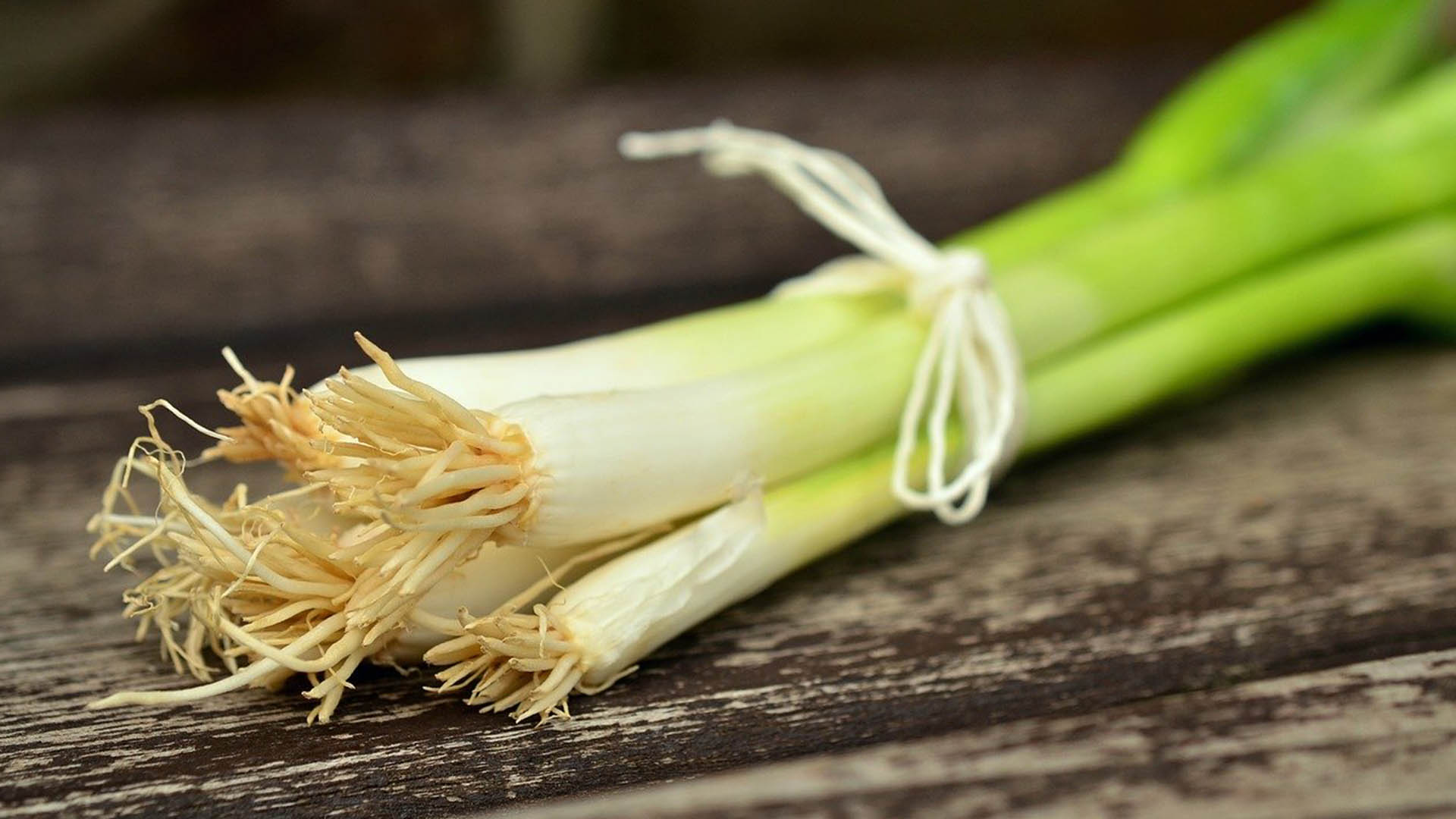 springonionFEATUREDIMAGE