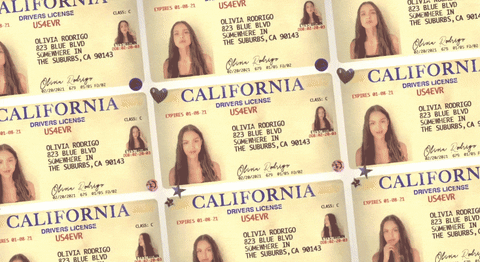 De op Harry Potter geïnspireerde rijbewijzen van Olivia Rodrigo