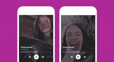 Eerdere, alternatieve versies van het Canvas voor 'drivers license'
