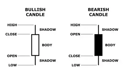 schema