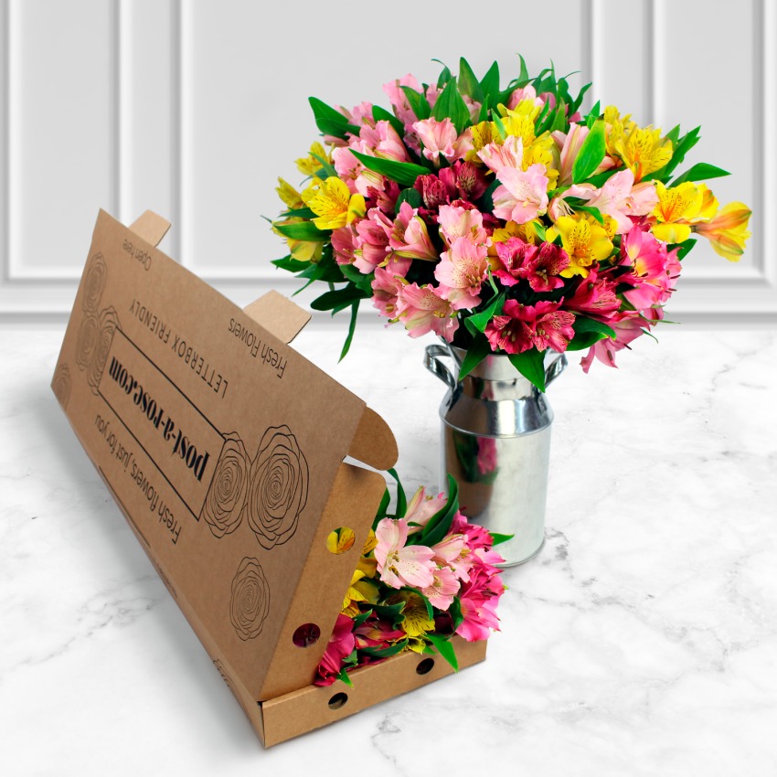 Letterbox-Mixed-Alstroemeria