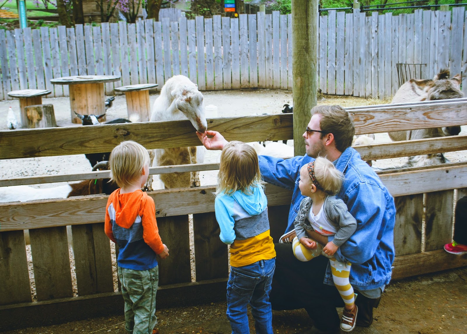 Family enjoying a day out together