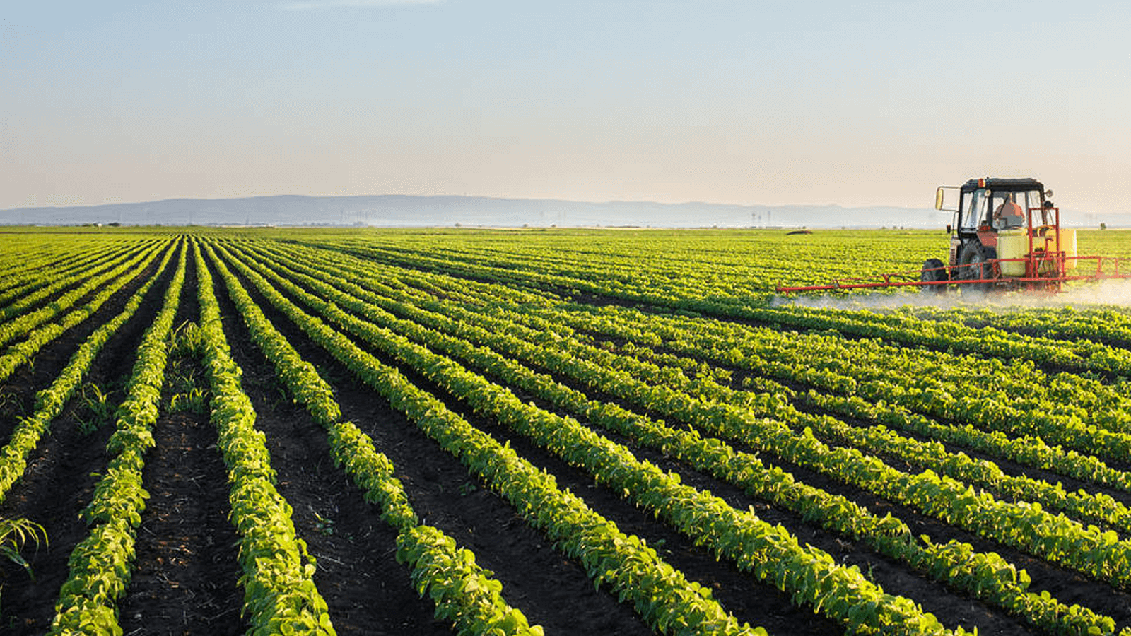 Corporate Responsibility-Responsible Sourcing-field of crops