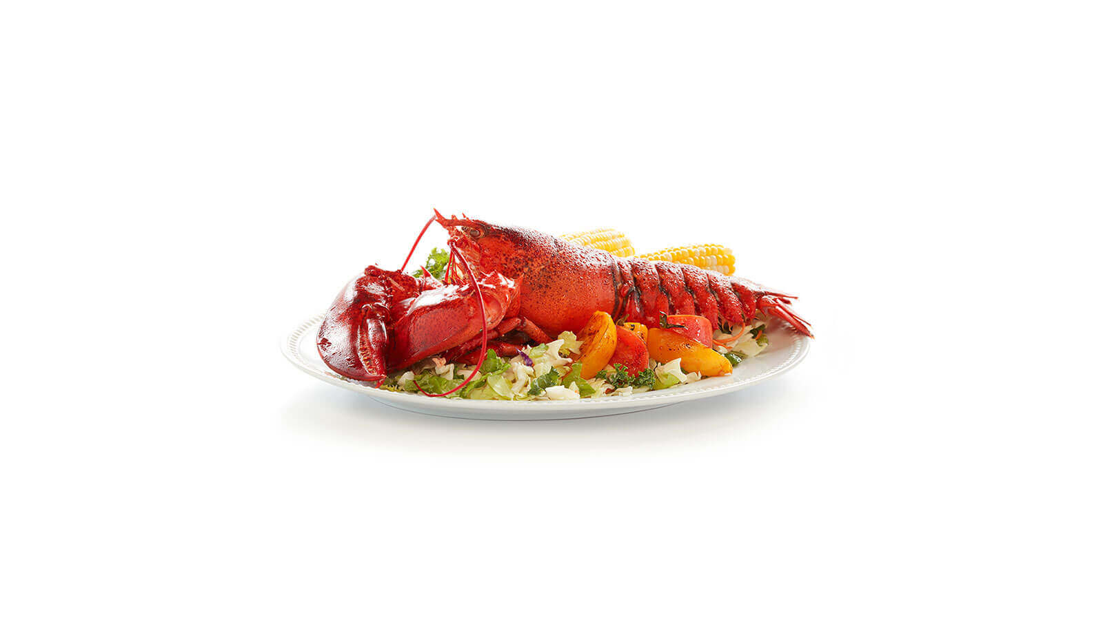 2 - 3 lb Live Lobsters