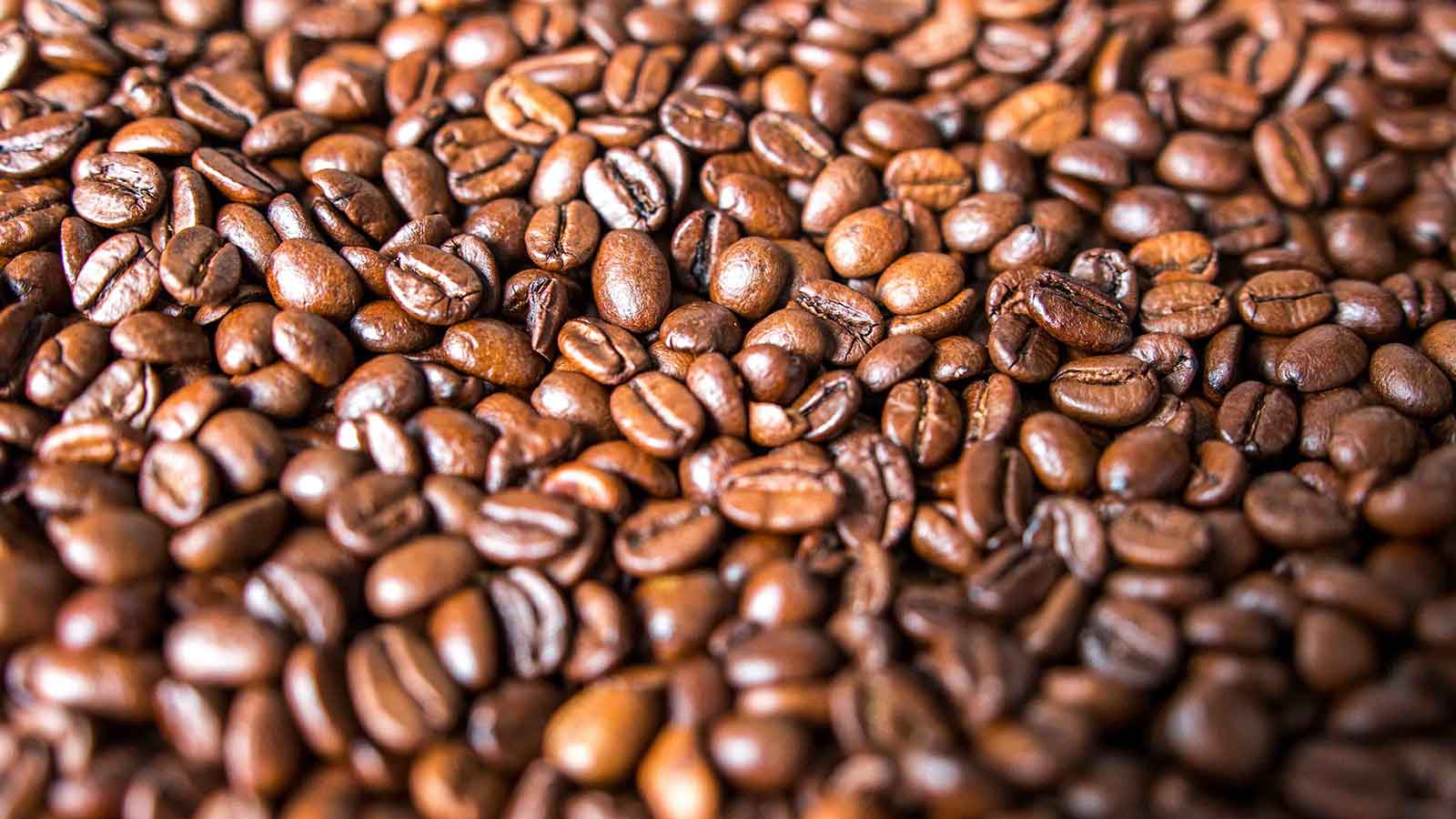 Dept Coffee