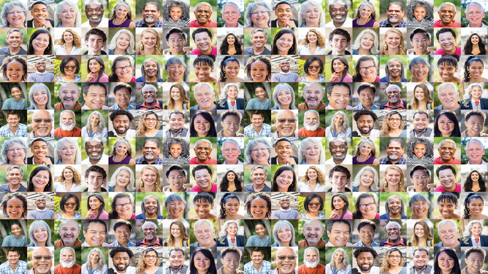 loyalty members collage