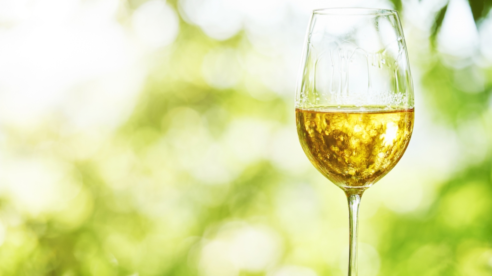 glass of pinot grigio