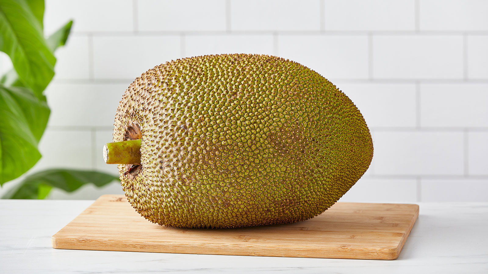 Jump for Jackfruit