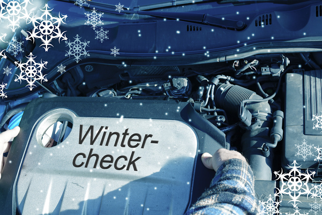 Wintercheck