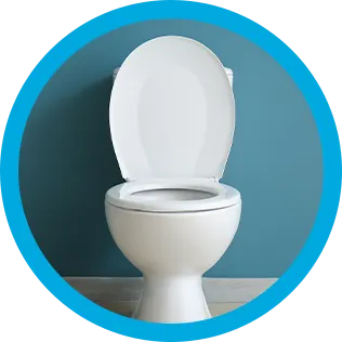 A clean toilet