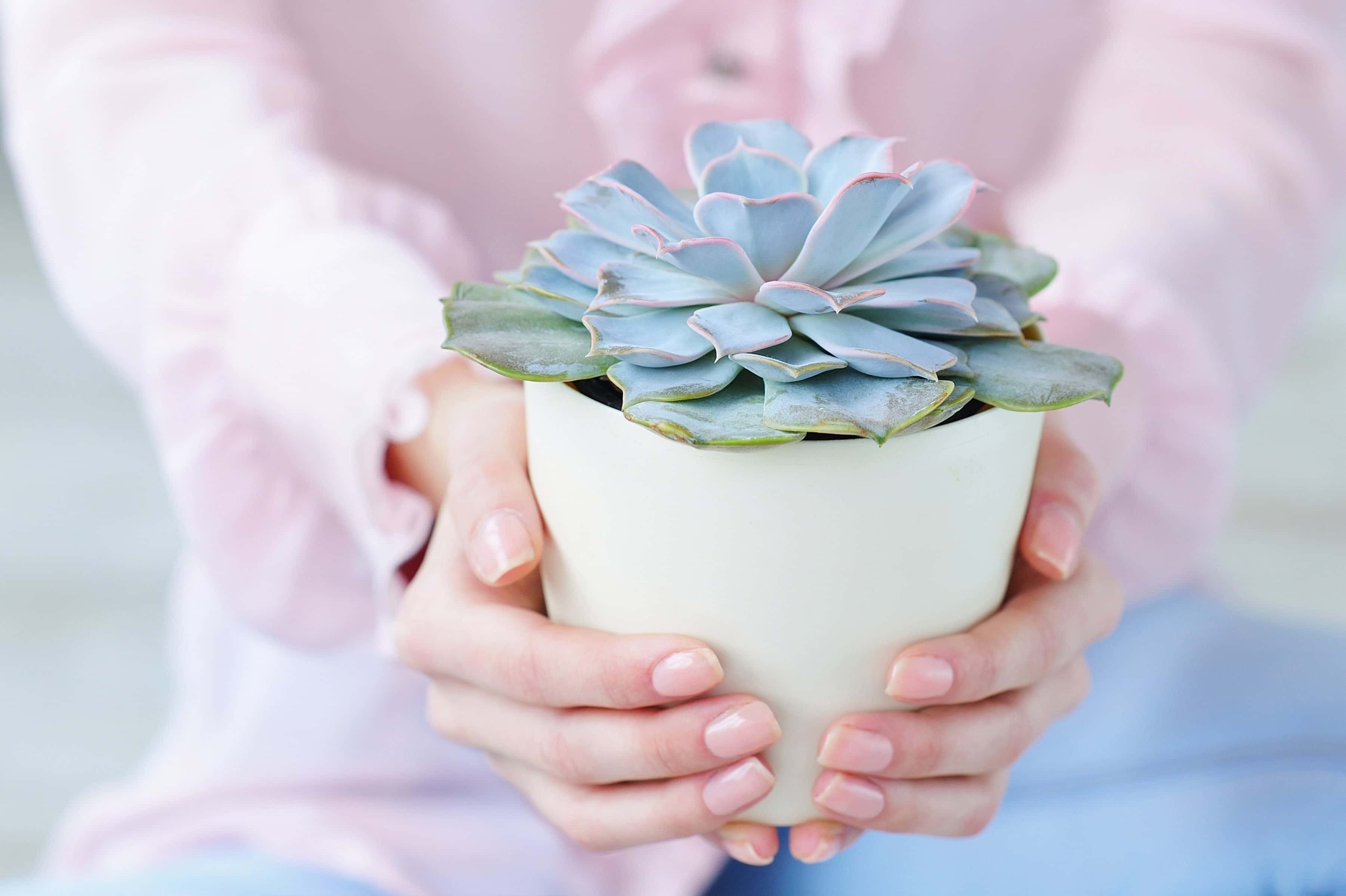 Vaginal Dryness Remedies