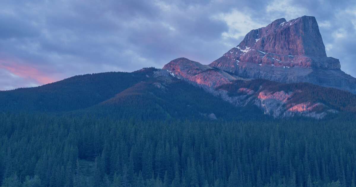 AIMCo private equity photo