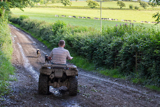 Farmer riding a quad bike surveying his land