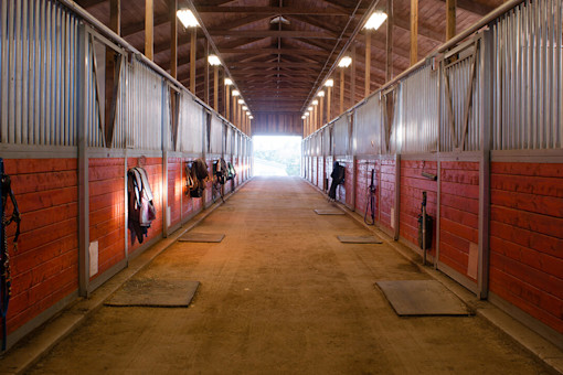 Center path through horse paddock