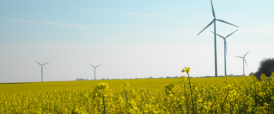 Producing renewable wind energy in Bulgaria