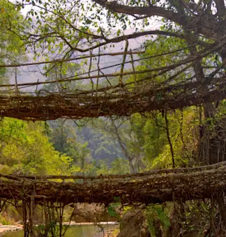 Experience the thrill of Dawki River with TravelTaxi's guided adventures in Meghalaya.