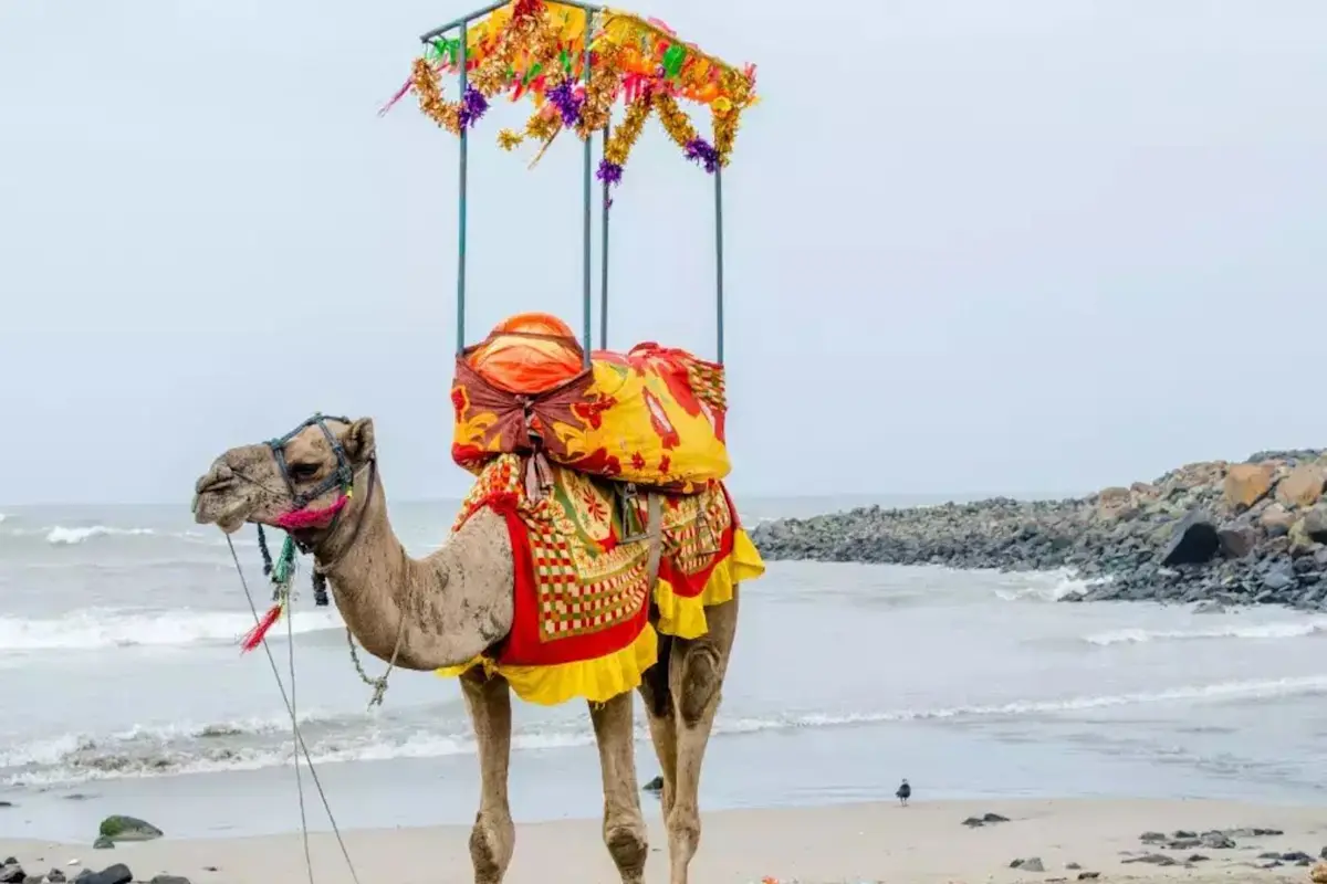 Discover the spiritual charm of St. Paul's Church with TravelTaxi's guided tours in Diu.