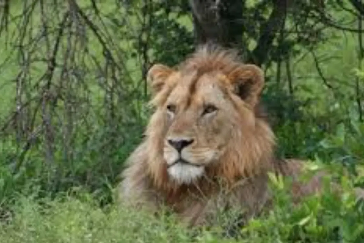 Discover the natural wonders of Lonavala with TravelTaxi's guided tours in Maharashtra.