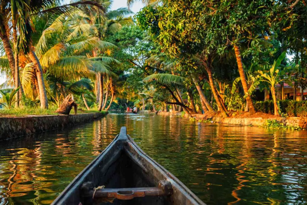 Experience the thrill of snake boat races with TravelTaxi's special event tours in Alleppey, Kerala.