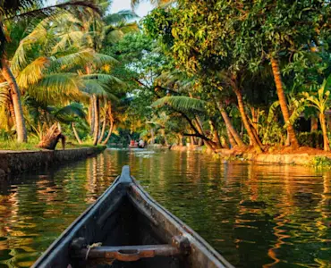 Experience the thrill of snake boat races with TravelTaxi's special event tours in Alleppey, Kerala.