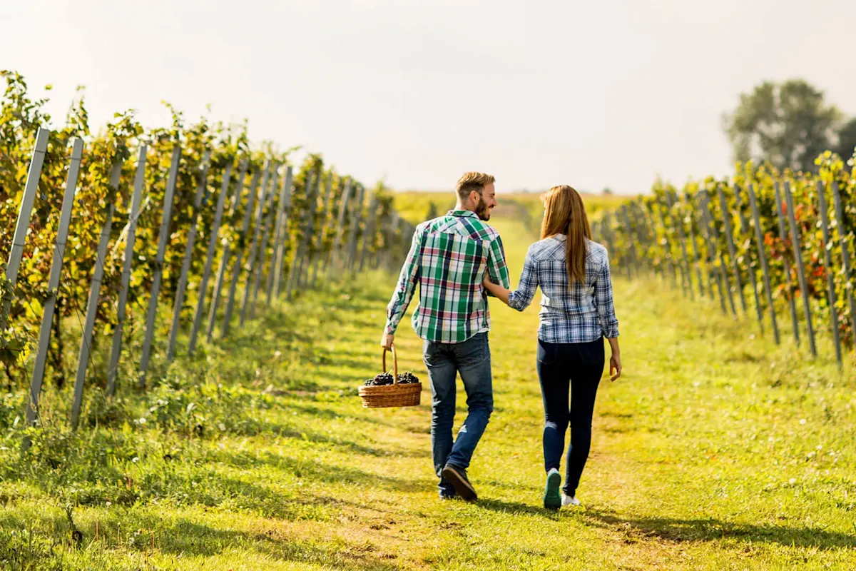 Embrace romantic charm with TravelTaxi - Tuscany's vineyard honeymoon escapes.
