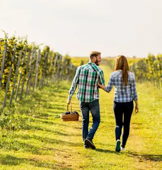 Embrace romantic charm with TravelTaxi - Tuscany's vineyard honeymoon escapes.