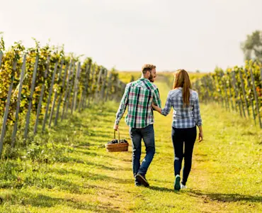 Embrace romantic charm with TravelTaxi - Tuscany's vineyard honeymoon escapes.