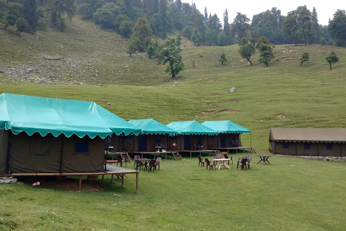 Discover Himalayan biodiversity in Kedarnath Wildlife Sanctuary with TravelTaxi's eco-tours near Chopta.