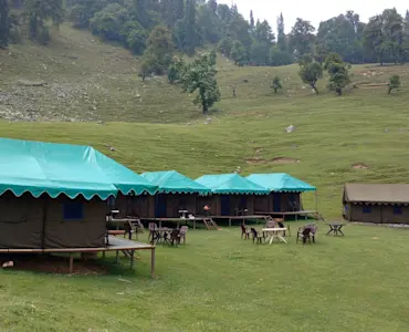 Discover Himalayan biodiversity in Kedarnath Wildlife Sanctuary with TravelTaxi's eco-tours near Chopta.