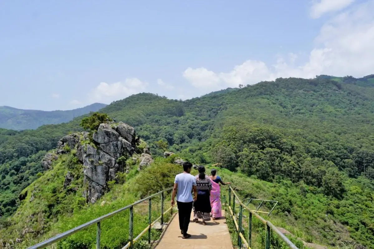 Explore lush tea estates with TravelTaxi's guided plantation tours in Ooty, Tamil Nadu.
