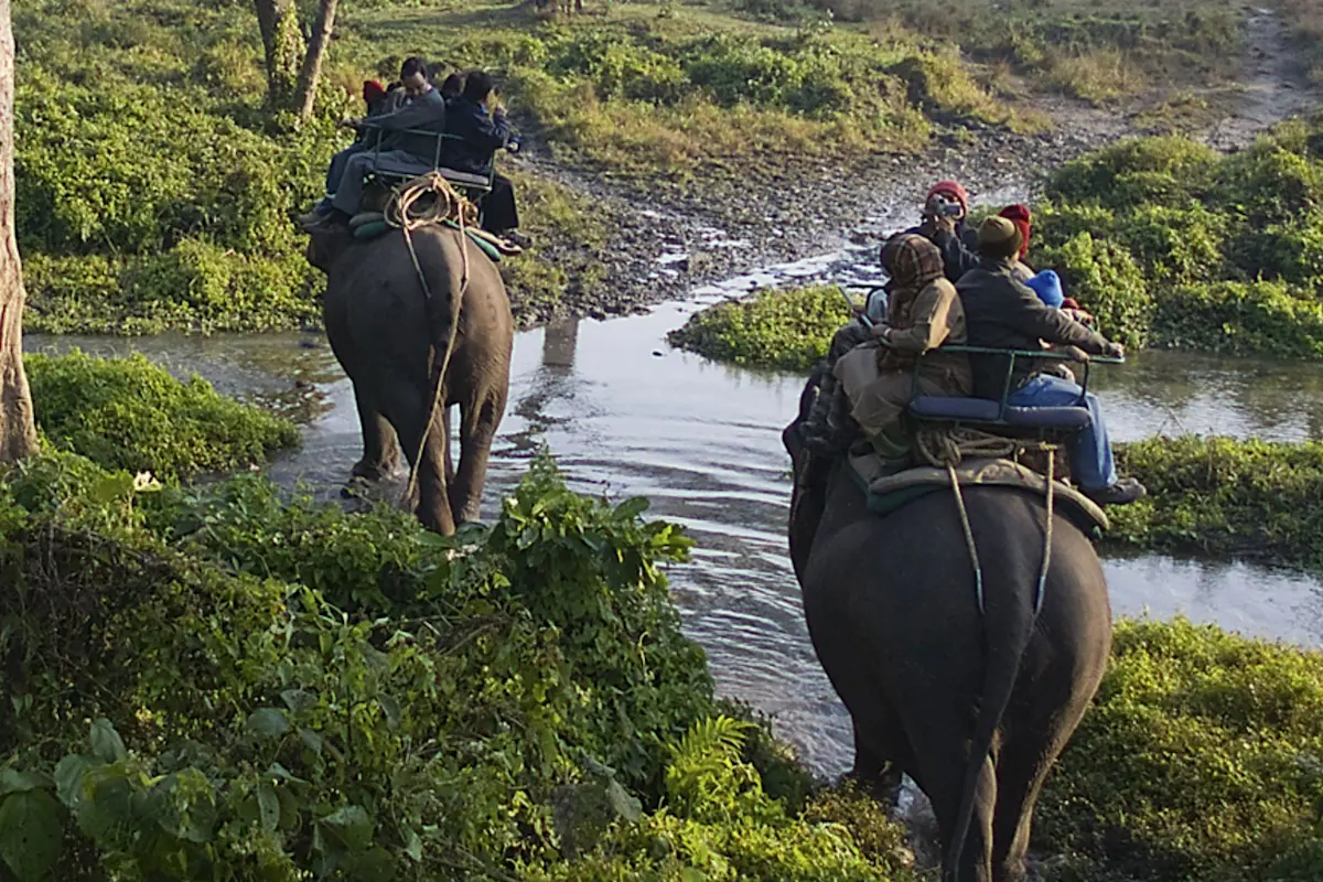 Discover the spiritual Shesh Shaiya with TravelTaxi's guided tours in Bandhavgarh National Park, Madhya Pradesh.