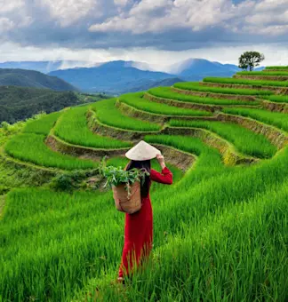 Discover the scenic beauty of Umiam Lake with TravelTaxi's guided tours in Meghalaya.
