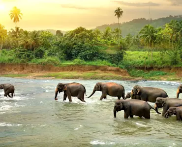Experience the thrill of night treks with TravelTaxi's guided adventure tours in Thekkady, Kerala.