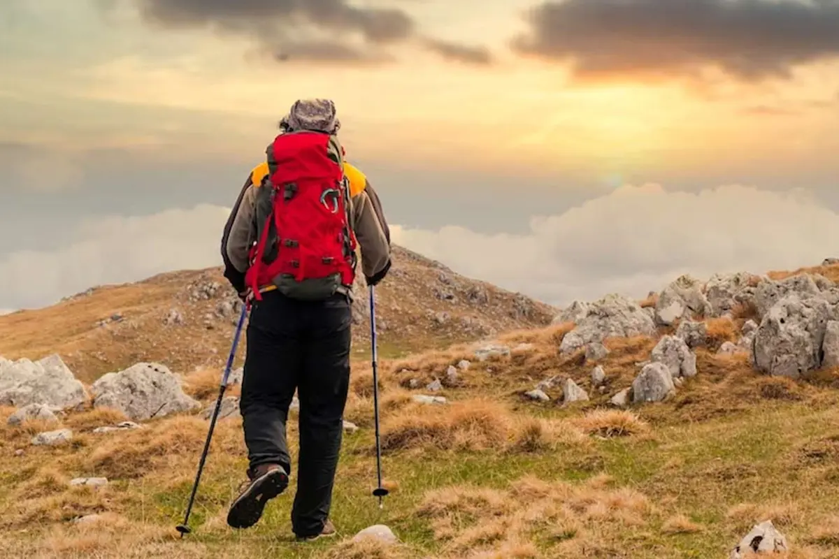 Indulge in natural grandeur with TravelTaxi - The majestic Torres del Paine Trek in Chile.