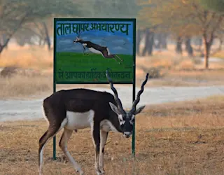 taxi image