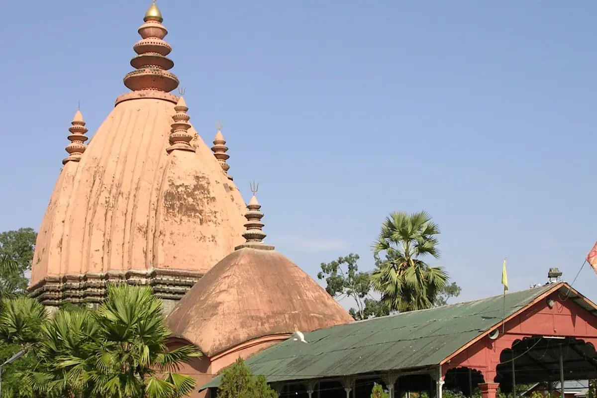 Discover the natural wonders of Dibru-Saikhowa National Park with TravelTaxi's guided tours in Assam.